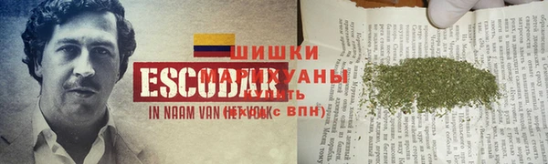 spice Баксан