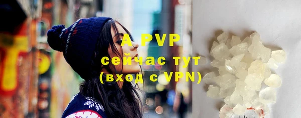 сатива Балахна
