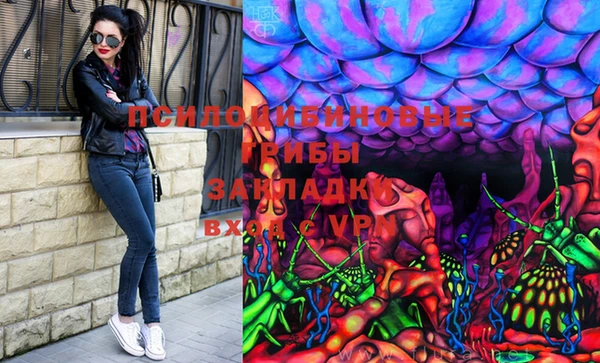 spice Баксан