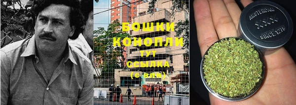 сатива Балахна