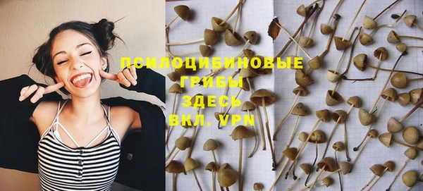 сатива Балахна