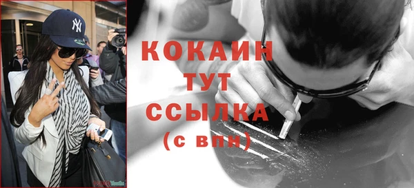 сатива Балахна
