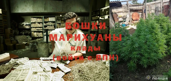 сатива Балахна