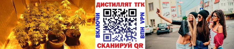 ТГК Wax  хочу наркоту  Ликино-Дулёво 