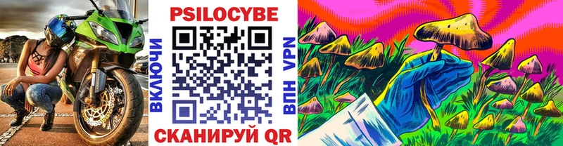 Псилоцибиновые грибы прущие грибы  Ликино-Дулёво 